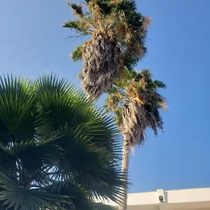 Sea Shell Palms, Frühstückspension